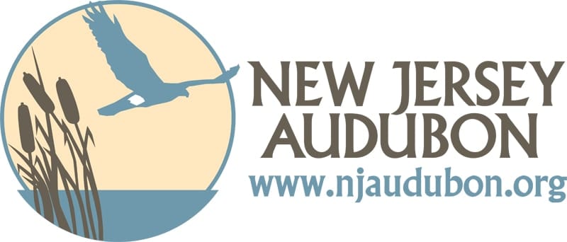 New Jersey Audubon – Eastern Cuba 2020